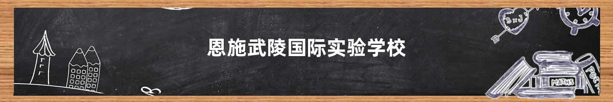 恩施武陵国际实验学校>